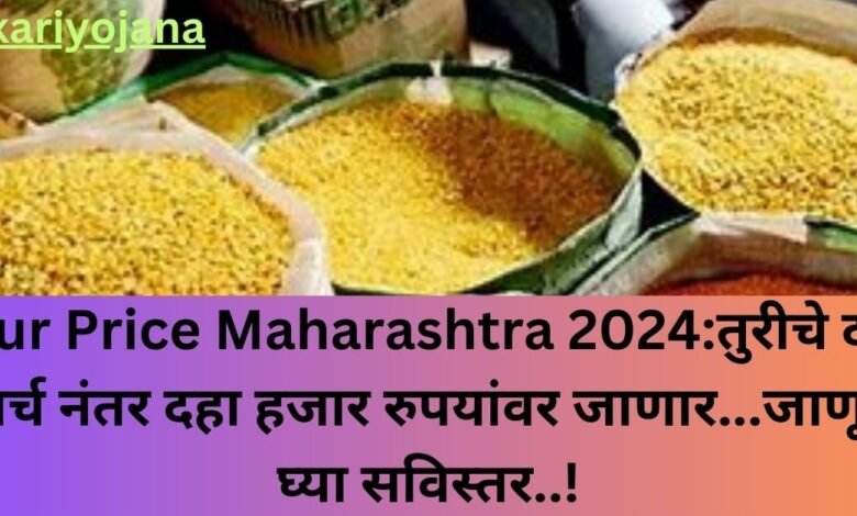 Tur Price Maharashtra 2024:तुरीचे दर मार्च नंतर दहा हजार रुपयांवर जाणार...जाणून घ्या सविस्तर..!