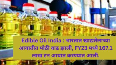 Edible Oil India