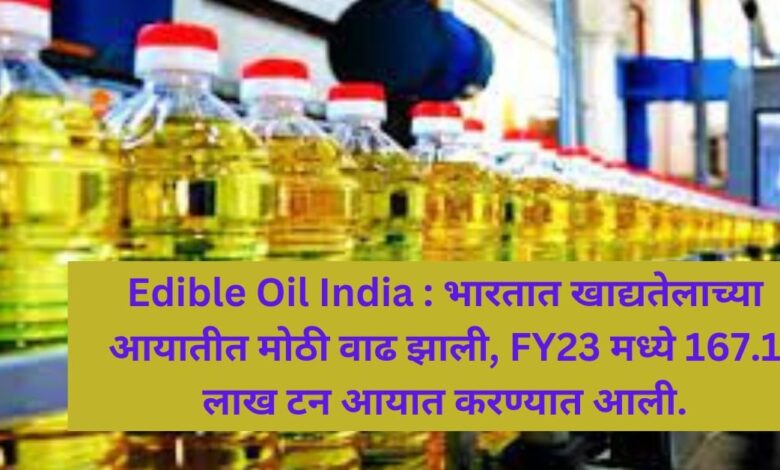 Edible Oil India