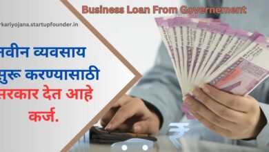 Business Loan from government