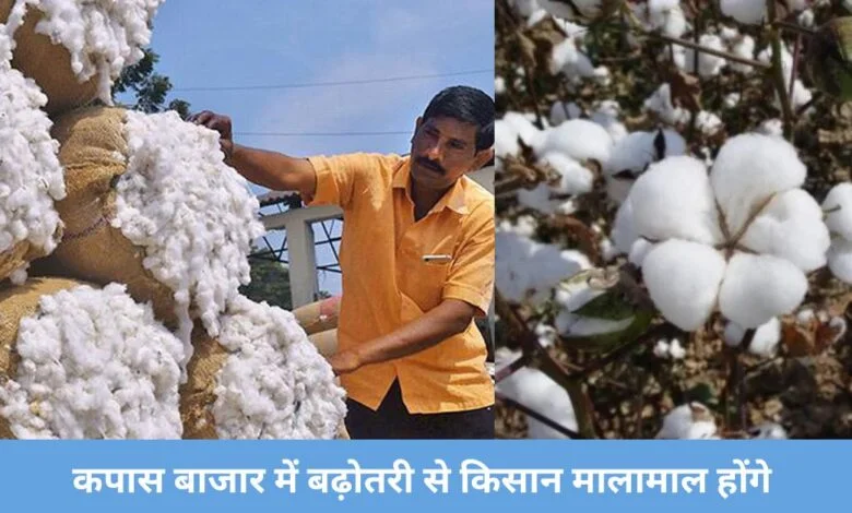 cotton price today