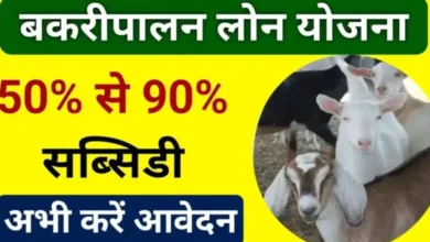 Goat Farming Loan 2025