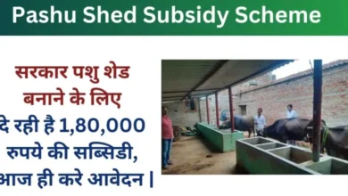 Pashu Shed Subsidy Scheme 2024